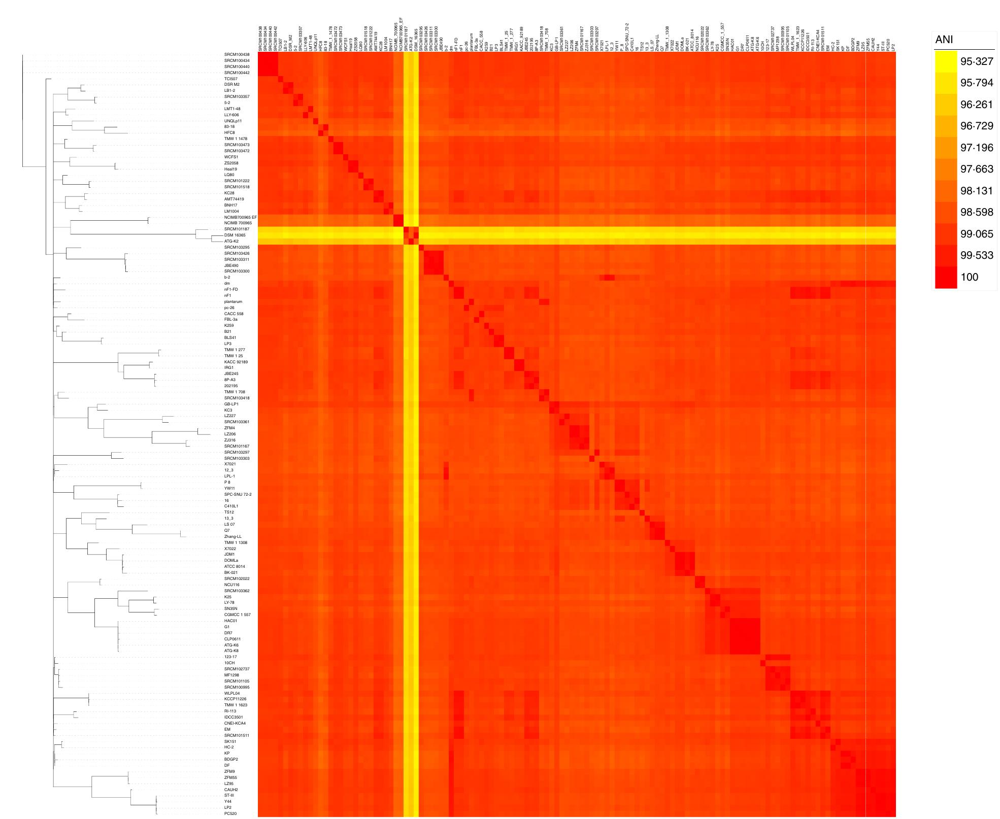 (PDF) Comprehensive pan‐genome analysis of Lactiplantibacillus ...