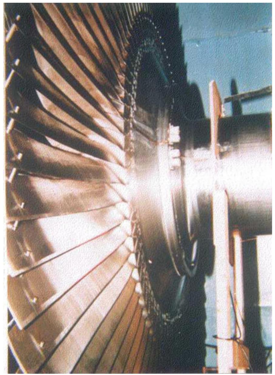 Pin Root Blade (PDF) Resonance Behavior of Steam Turbine Blades with Zigzag Lacing Pins