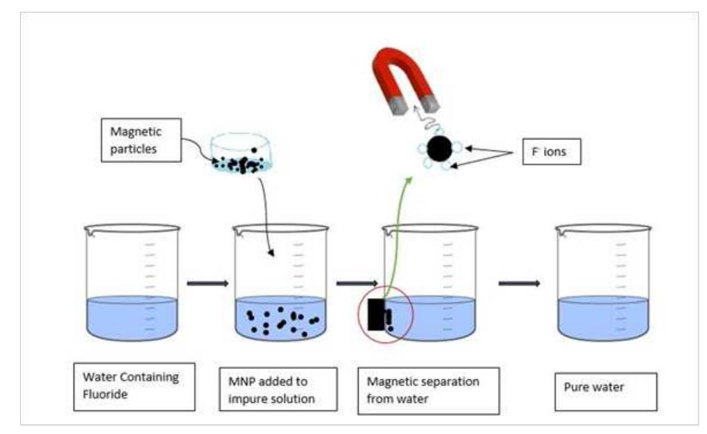 Defluoridation | schematic illustration of the defluoridation using mnps.