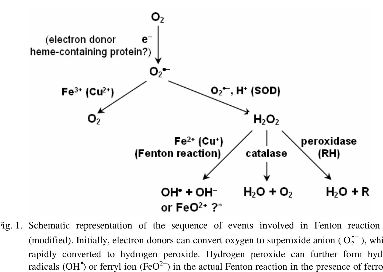Proposed non-radical mechanism for the fenton reaction [29]