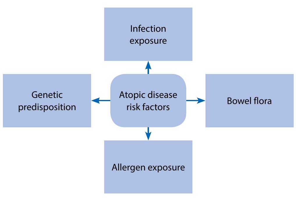 (PDF) An overview of allergy and sinusitis