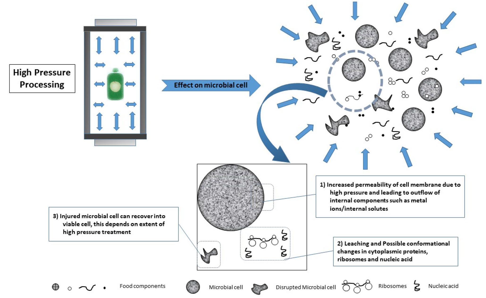 (PDF) Microbial inactivation by high pressure processing: principle ...