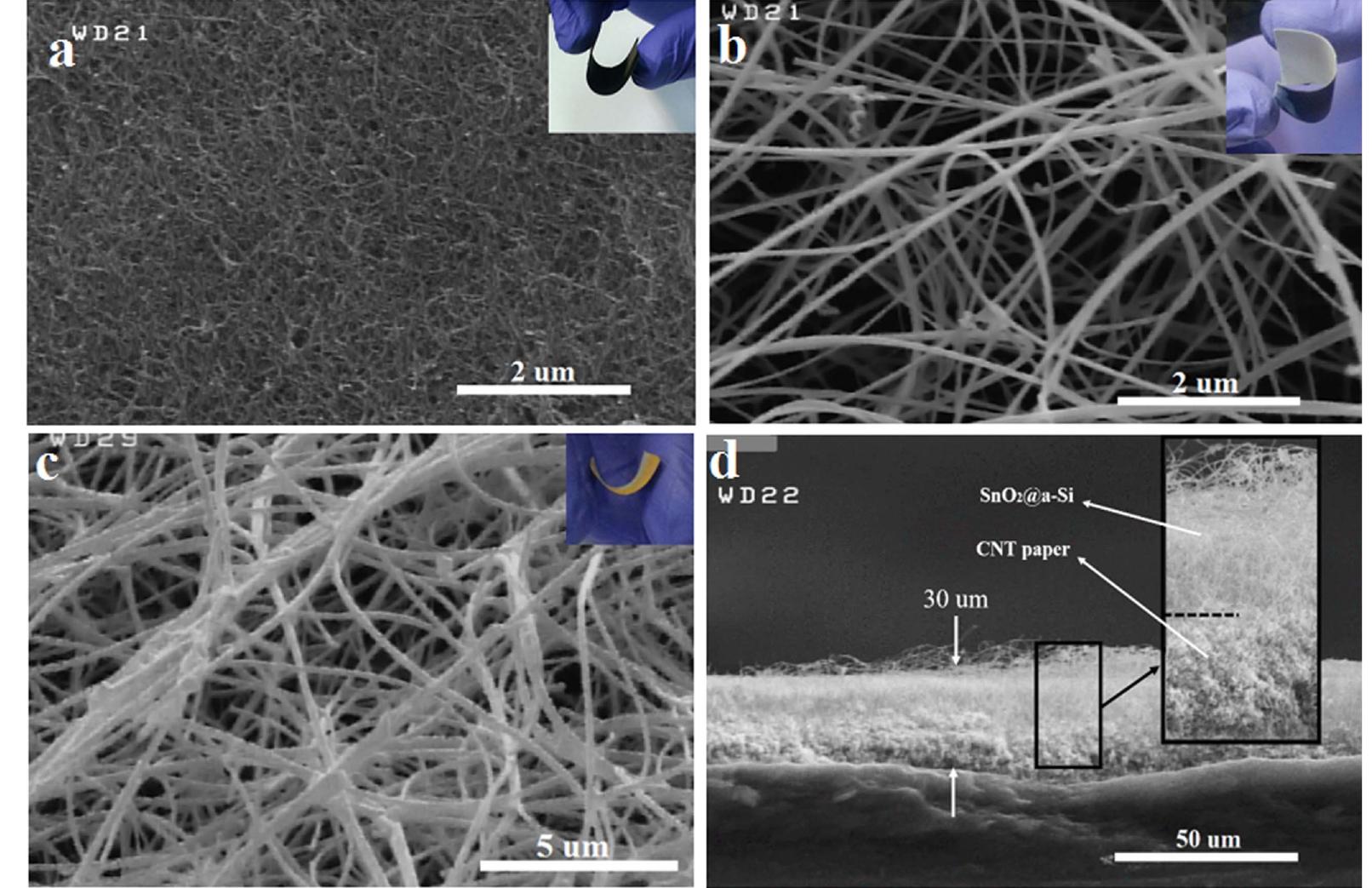 (PDF) SnO2@a-Si core-shell nanowires on free-standing CNT paper as a ...