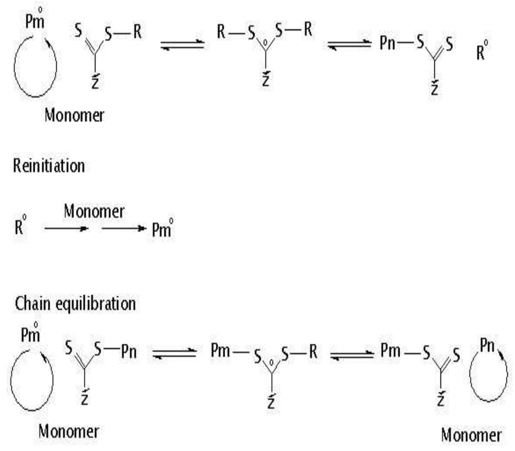 Iv. the general mechanism of raft. reversible