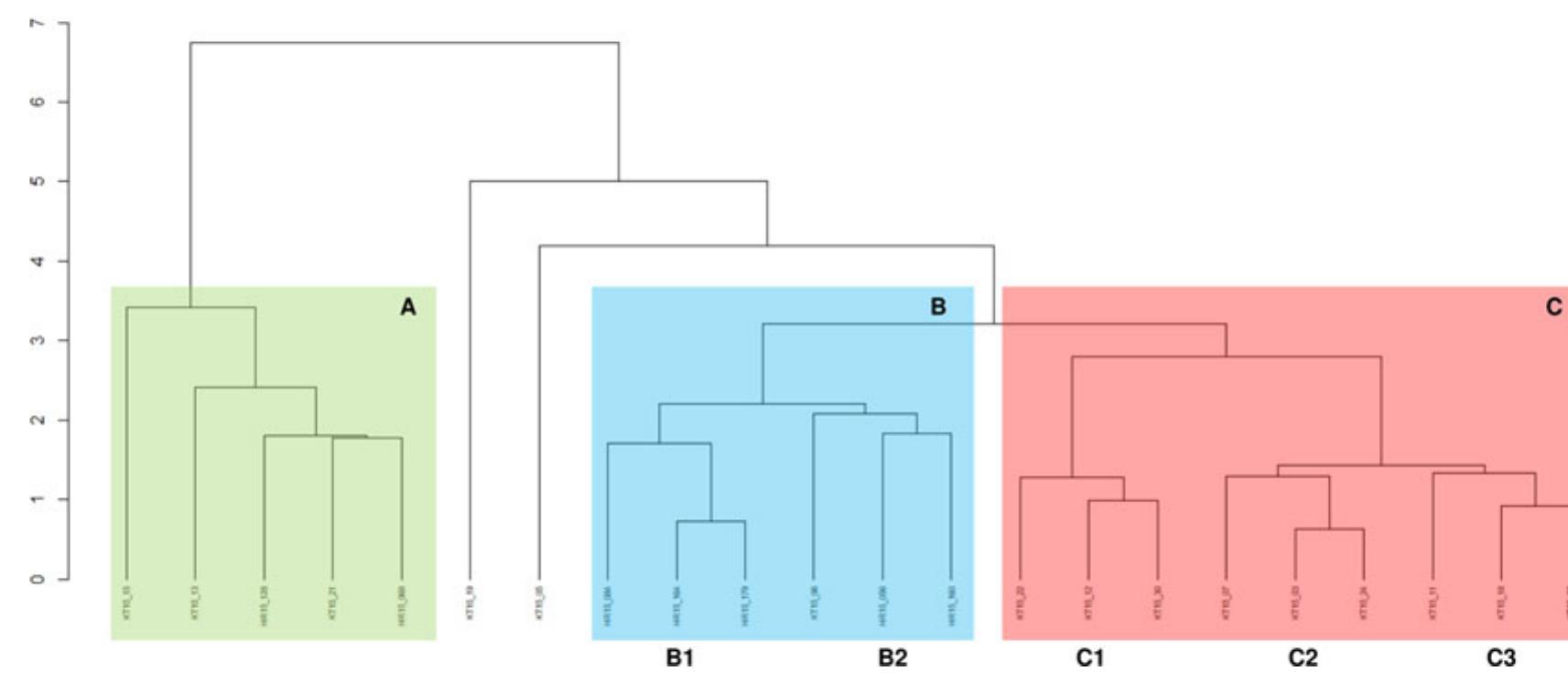 Fig. 13. Dendrogram resulting from the cluster analysis, excluding Pb, P, Na and Cu. 
