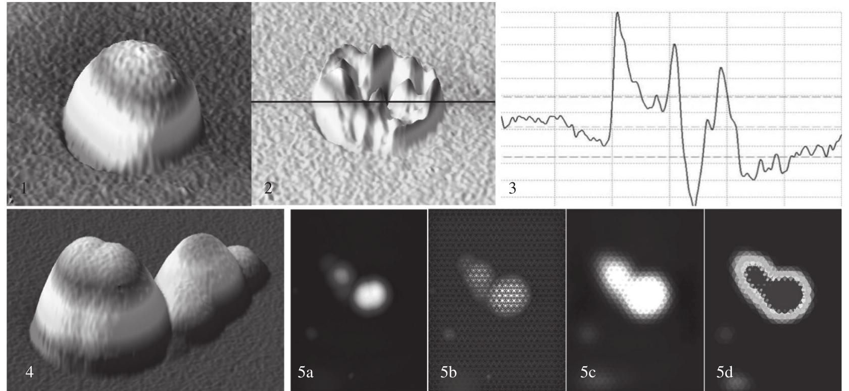 (PDF) Automation of NIF Target Characterization and Laser Ablation of ...