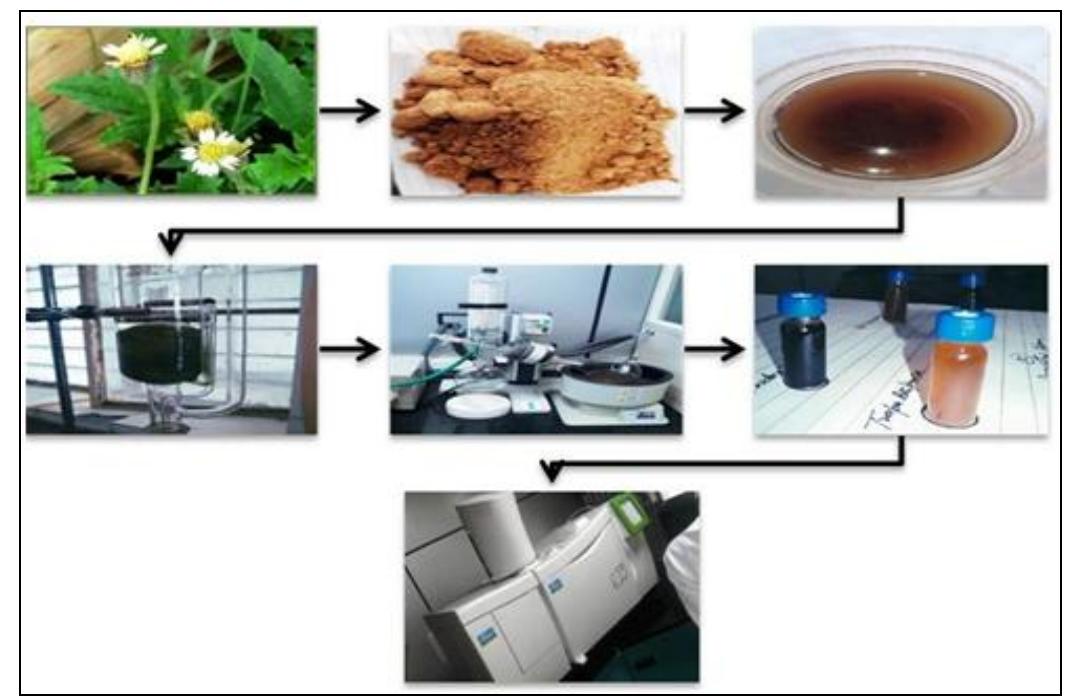 Identification of components: the mass spectrum of gc - ms