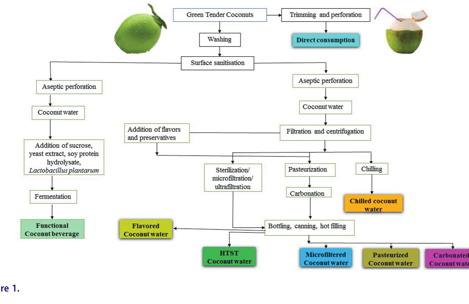 Coconut Api Transformation (PDF) Tender Coconut Water: A Review on Recent Advances in Processing ...