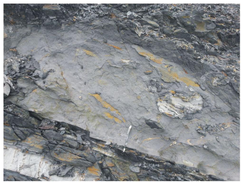 (PDF) Turbidite, debrite, and hybrid event beds in submarine lobe ...