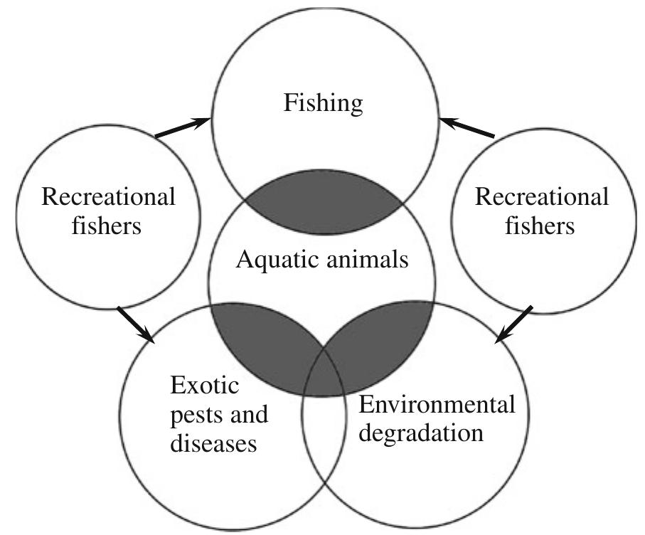 Schematic representation of the ecosystem based approach to