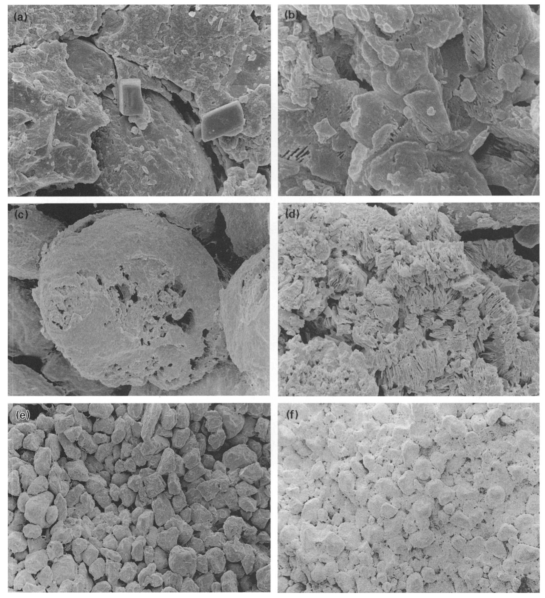 (PDF) Cavernous weathering in sandstone: lessons to be learned from ...