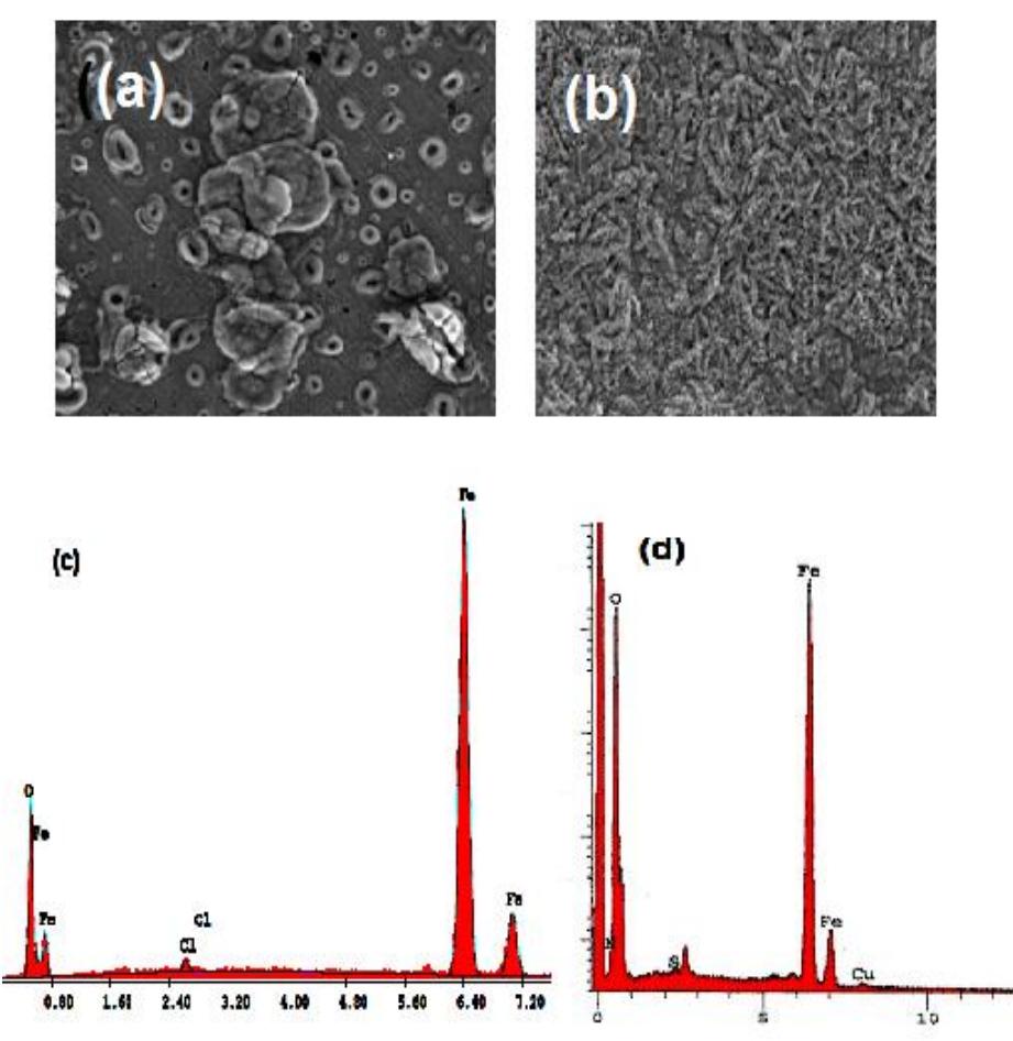 Sem micrographs and edx chart of carbon steel surface after
