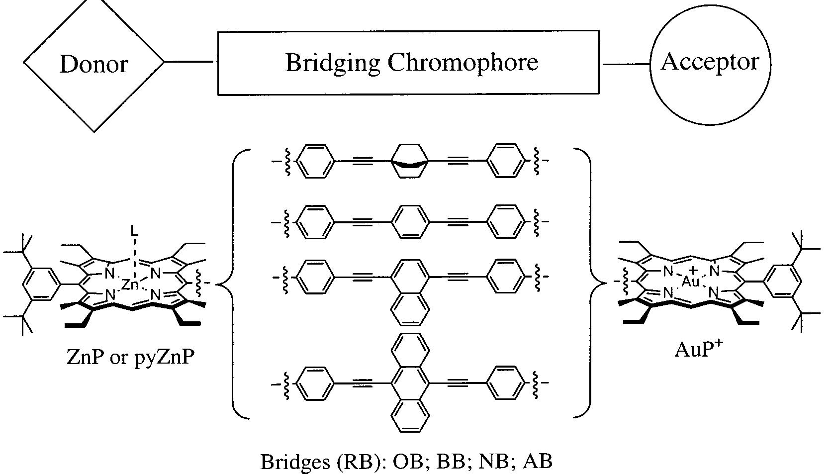 Figure 1. Structure of the systems studied. The donor is either ZnP (no ligand L) or pyZnP (L = pyridine), and the acceptor is AuPt. The donor—bridge—acceptor (D—B—A) systems are denoted ZnP—RB—AuP* or pyZnP—RB—AuP”, respectively. RB is one of the bridging chromophores: 1,4-bis(phenylethynyl)bicyclo[2.2.2]octane (OB), 1,4-bis(phenylethynyl)benzene (BB), 1,4-bis(phenylethynyl)naphthalene (NB) or 9,10-bis(phenylethynyl)anthracene (AB). The donor reference compounds consist of the porphyrin moiety and the bridging chromophore, D—B. 