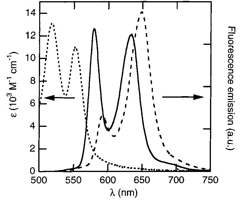 Figure 4. Spectral overlap of AuP* Q-band absorbance (+++) and normalized ZnP (—) or pyZnP (- - -) emission in CHCl, at 20 °C. are almost freely rotating with respect to each other, the average value of x? = 2/3 for random orientations can be used. The final term is the spectral overlap integral (J), which is calculated from the molar absorptivity of the acceptor («(A)) and the normalized donor emission (F(A)) in the wavelength (A) region show in Figure 4.