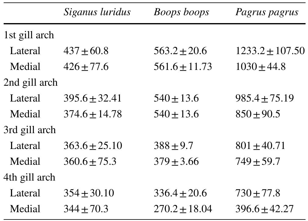 Space between the bases of gill rakers at the middle of each