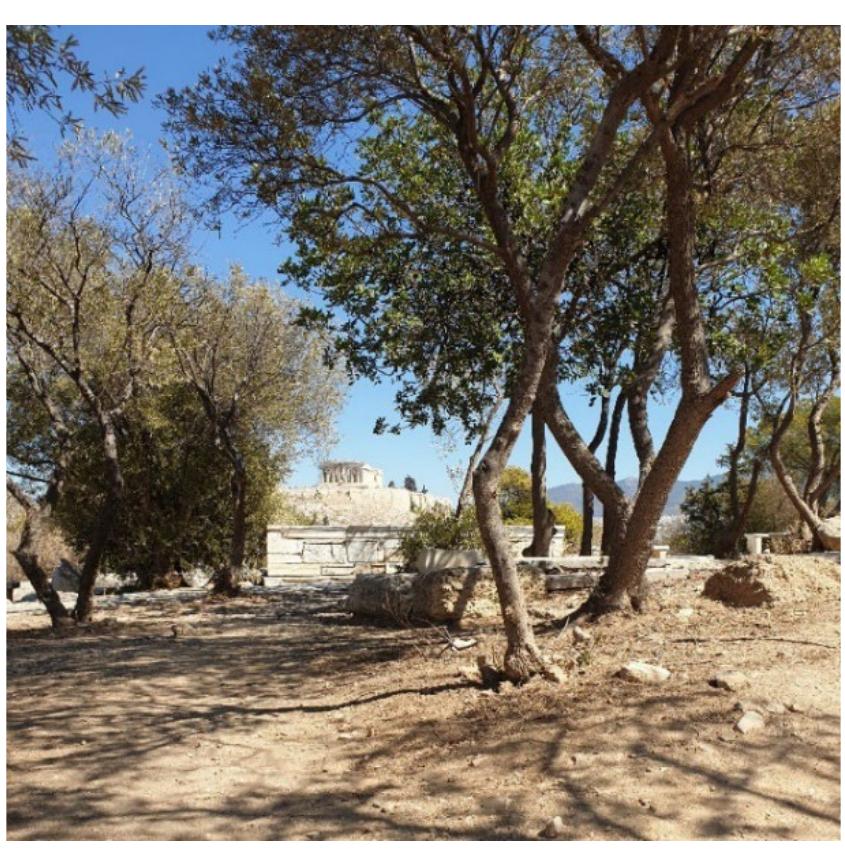 Figure 5. Photo taken from inside Philopappou Hill (Source: G.S. Archive).  The site of  he Pnyx was first identified as an ancient assembly site by the schola1  of antiquities, Richard Chandler, in 1765. This hill is a symbolic site, as it was where the Athenian democratic assembly for important political issues was held from the end of the  6th century unti  ater became his  political orators of the with free (male) citizens, who made crucial decisions concerning important matters tha events [36]. The most decisive period in the modern history o  the 4t  orical  Philopappou Hi  to the Acropolis.  1954-1958). More speci heir consistent with the  elements (Figures 5 and he restoration of the Byzantine church at the foot of the hill and the connection of the hil he years, however, many inappropriate interventions have beer  1 was  time, suc  the archi fically, th  h century BC. It was a place where some of the most importan  e interventions included promenade paths, emphasizing area’s antiquities but through a smooth transition with the natura  h as Demosthenes and Pericles, were present, together  ectural interventions of the architect Dimitris Pikionis  6). Inad  Over  dition, they included “viewing terraces” and rest areas  made and, combined with poor maintenance of the paths, buildings and the wider area manv problems are present todav. 