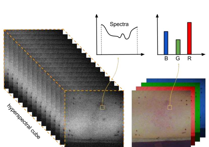 A schematic representation of hyperspectral vs. rgb image