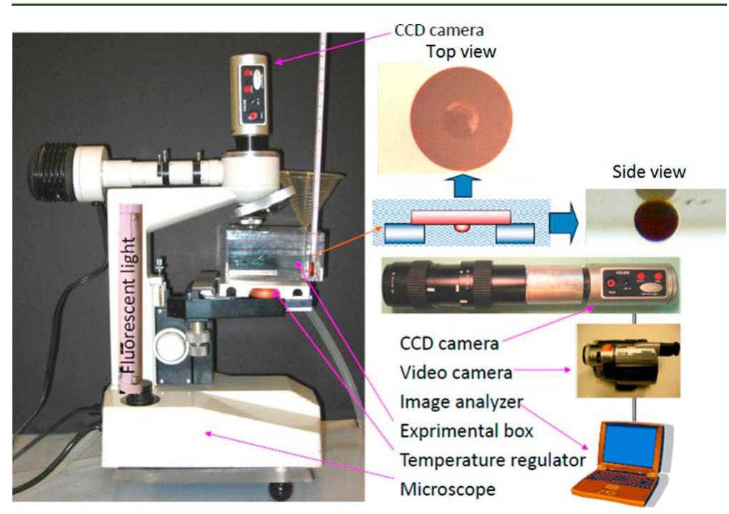 (PDF) Enhanced Oil Recovery (EOR) Using Nanoparticle Dispersions ...