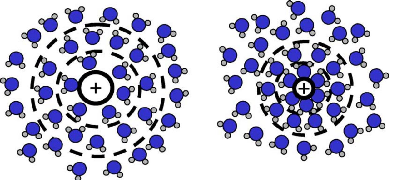 Schematic representation of hydration shells around a large