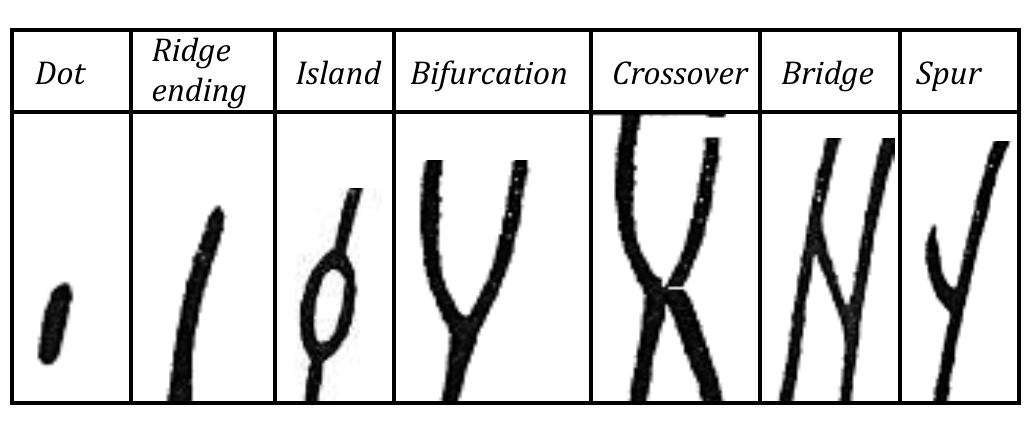 Minutiae Guide Figure 1 - from A Survey On Hough Transform-based