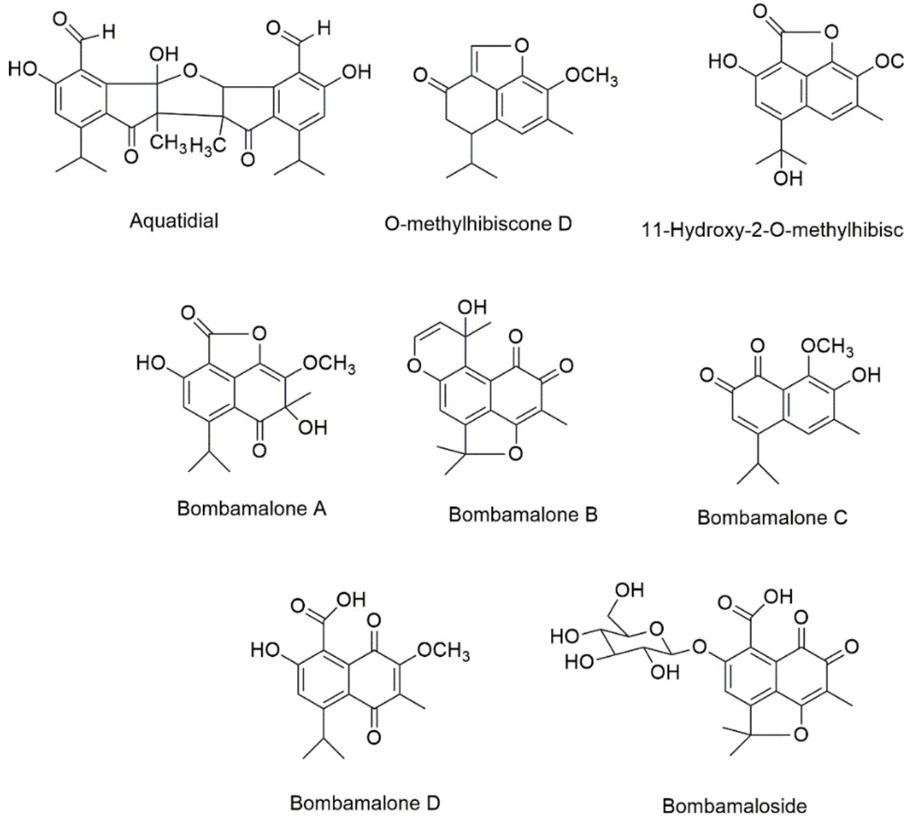 The chemical structures of new isolated compounds from