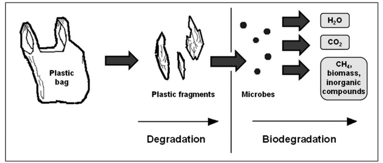 (PDF) Experimental degradation of polymer shopping bags (standard and ...