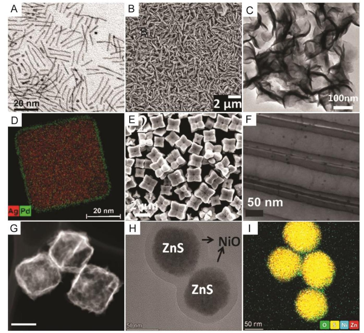 (a-i) sem and tem images for a variety of nanomaterials with