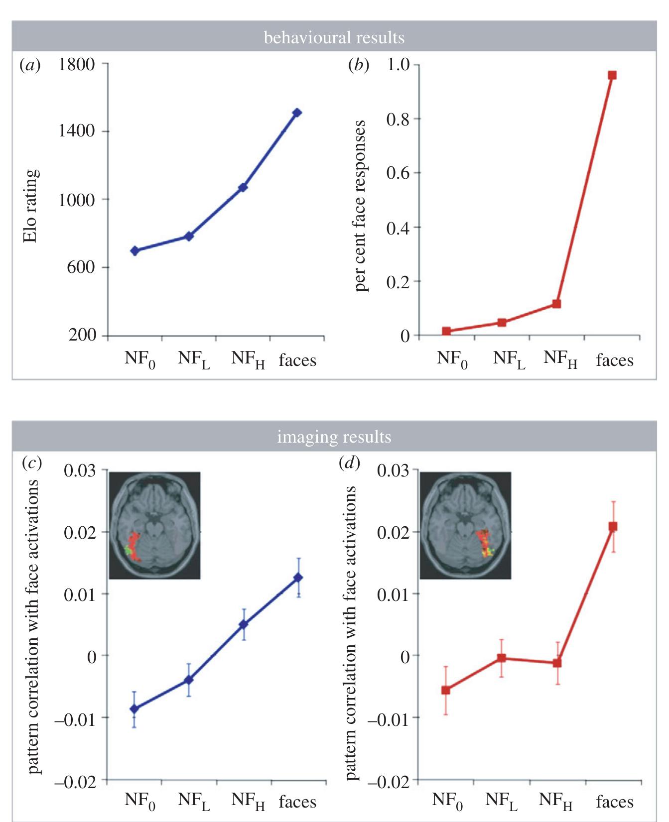 (PDF) Lateralization of face processing in the human brain