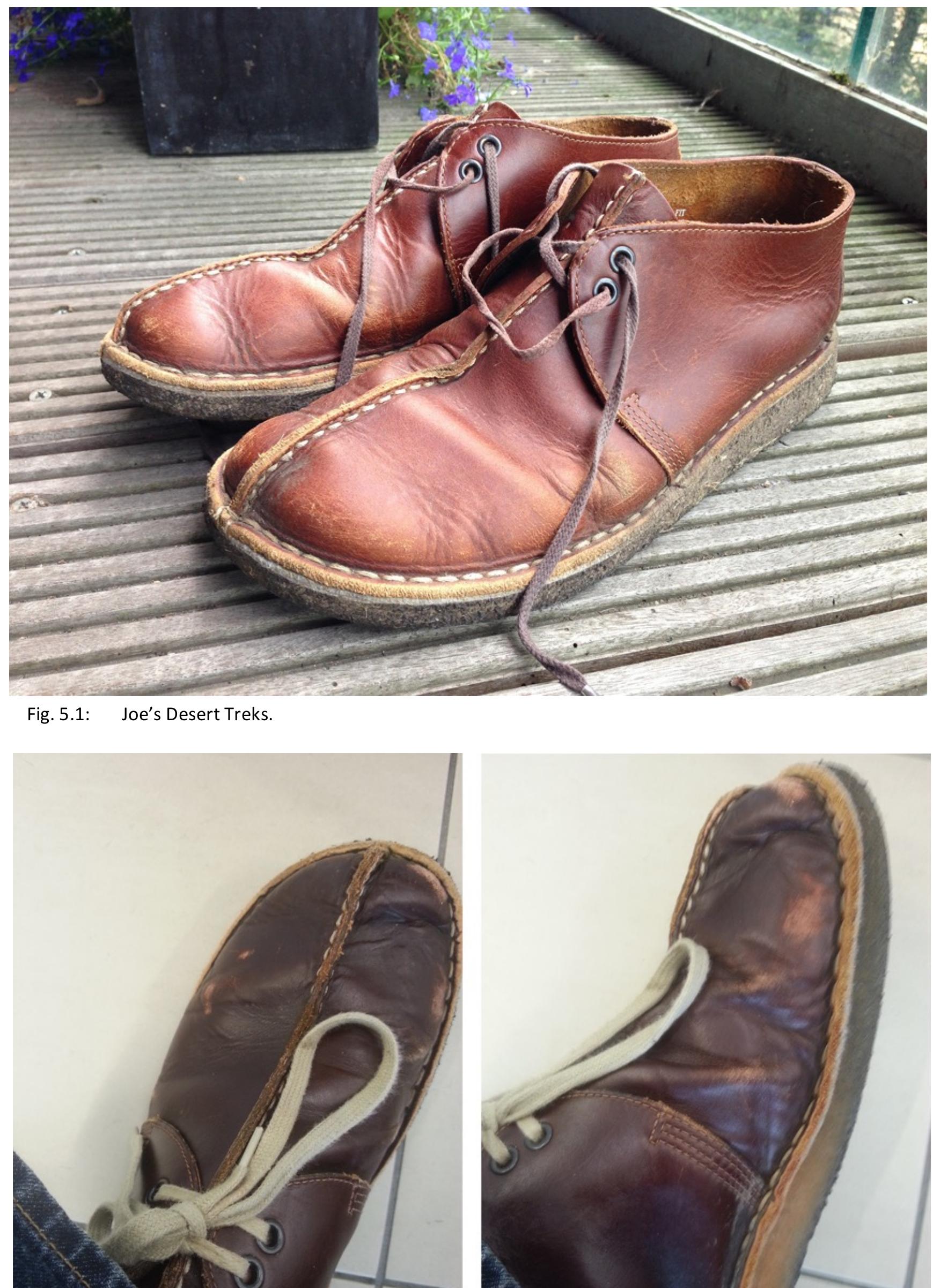 Fig. 5.2: Tom’s Desert Treks. 