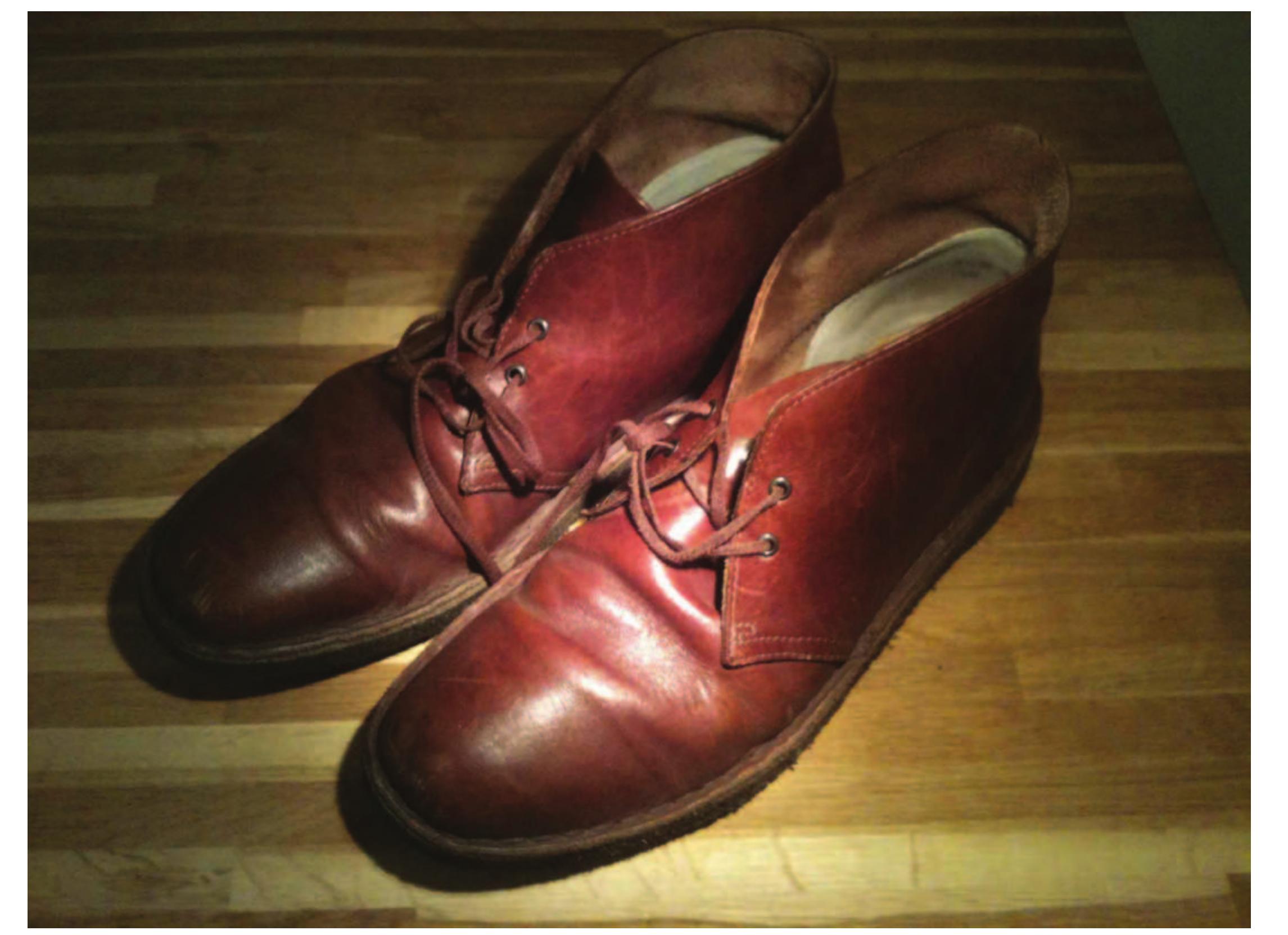 Figure 4: Connor's Desert Boots. 