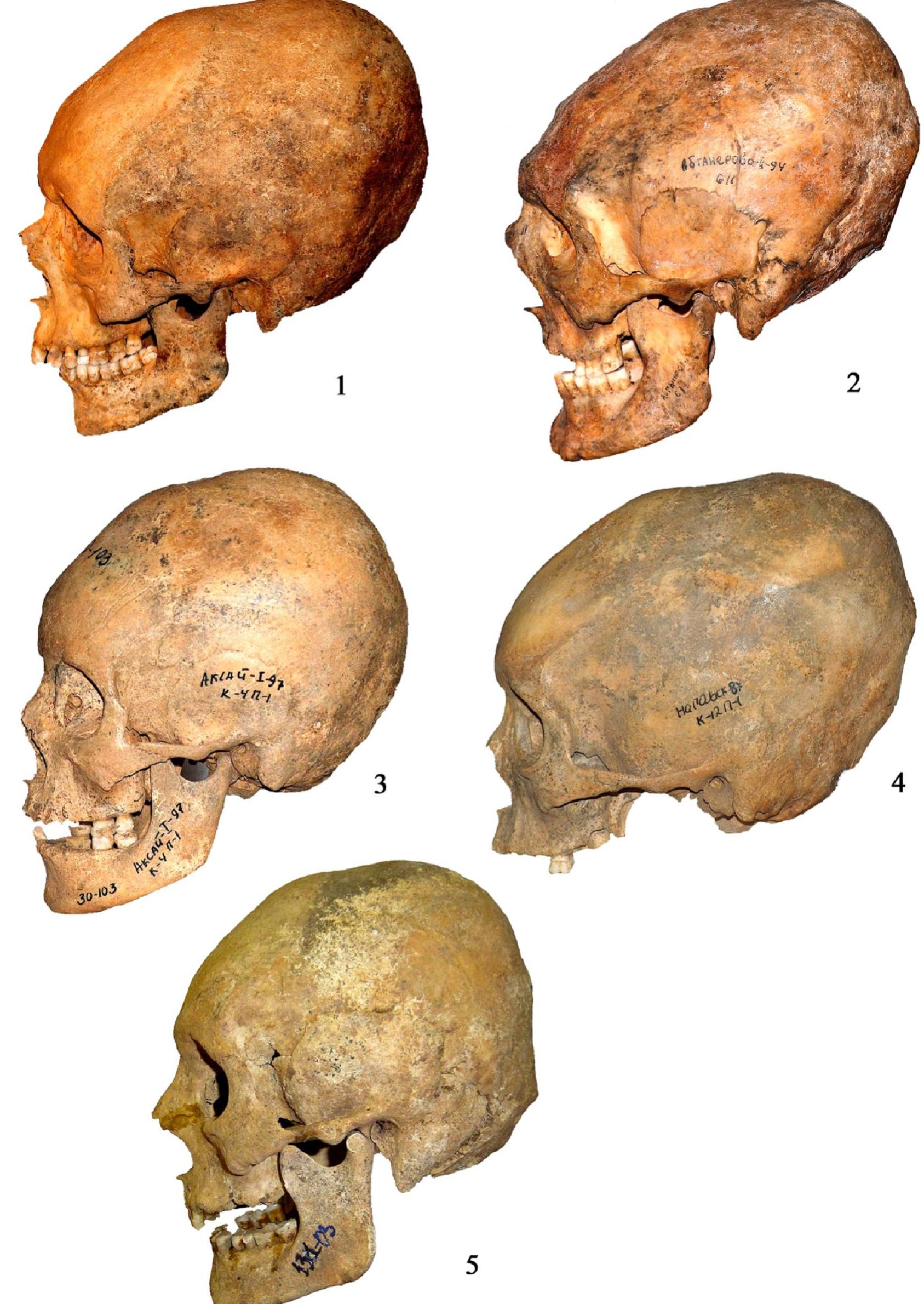 figure_005.jpg