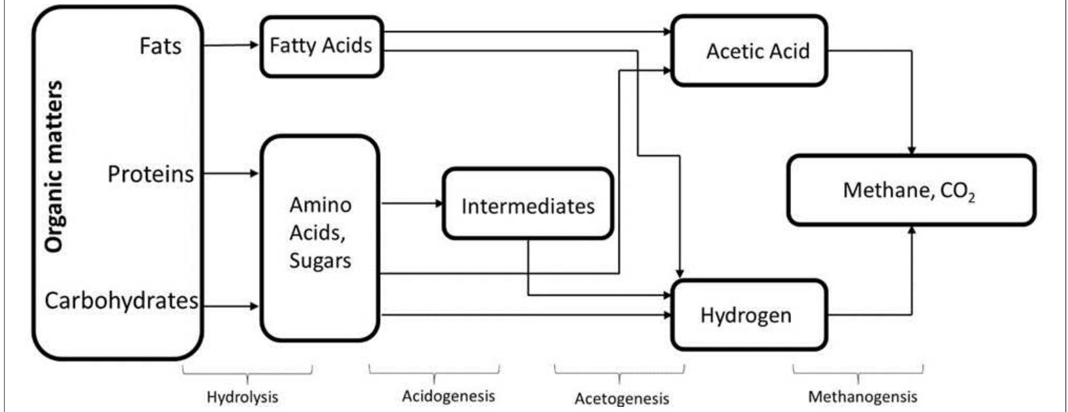 (PDF) Nanoparticles Synergistic Effect with Various Substrate ...