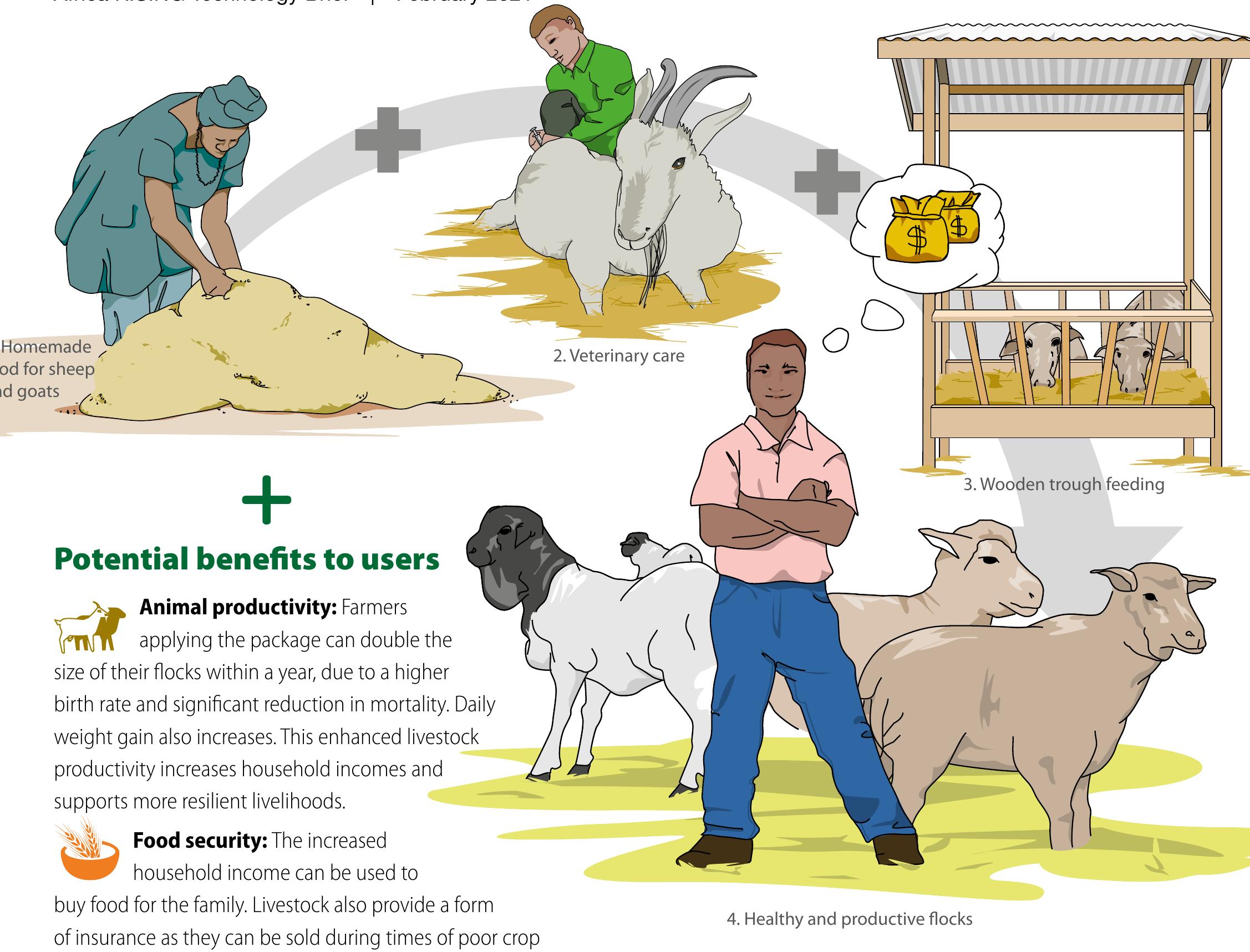 (PDF) Feed and health package for improved small ruminant production