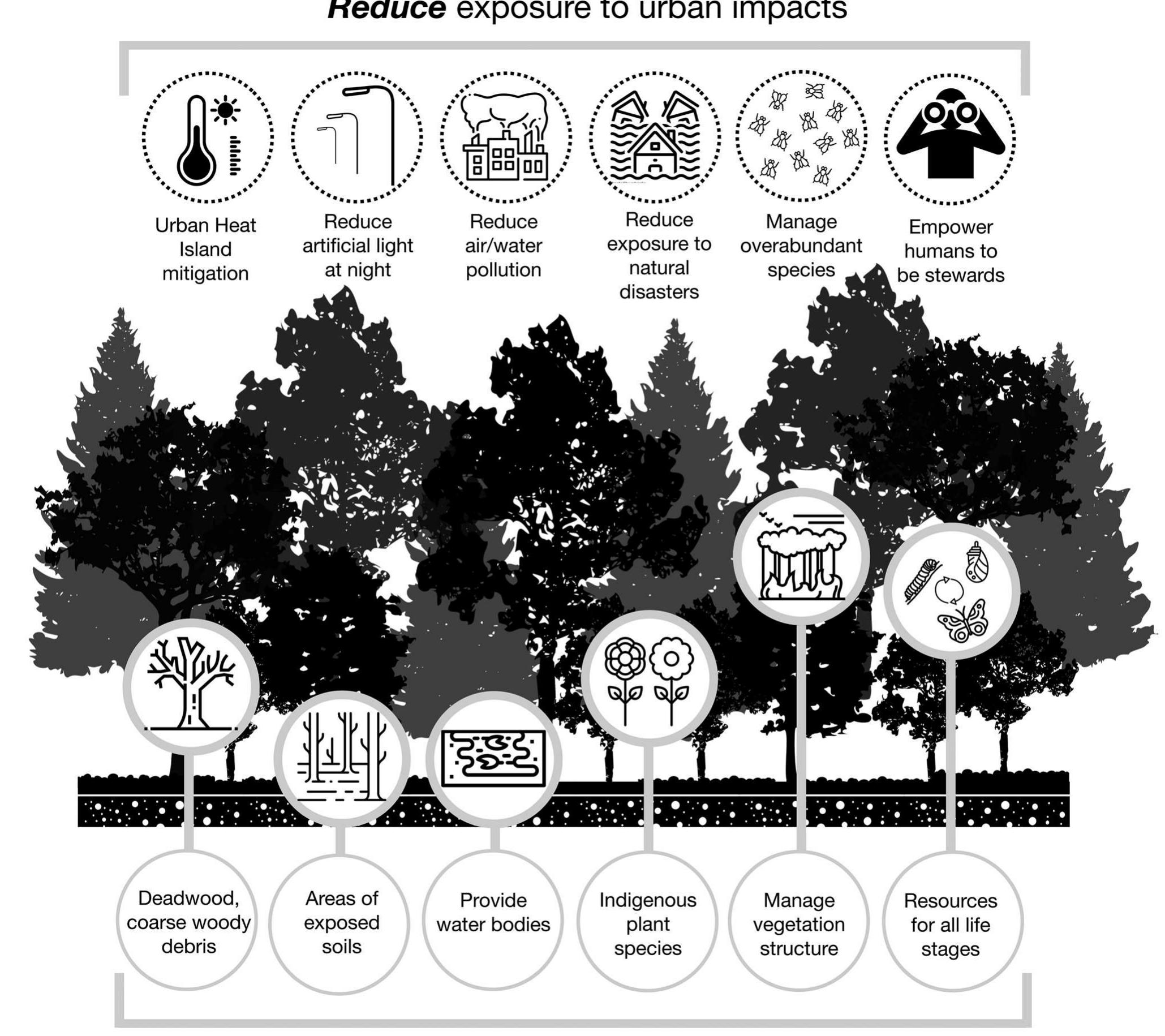 (PDF) Urban forest invertebrates: how they shape and respond to the ...