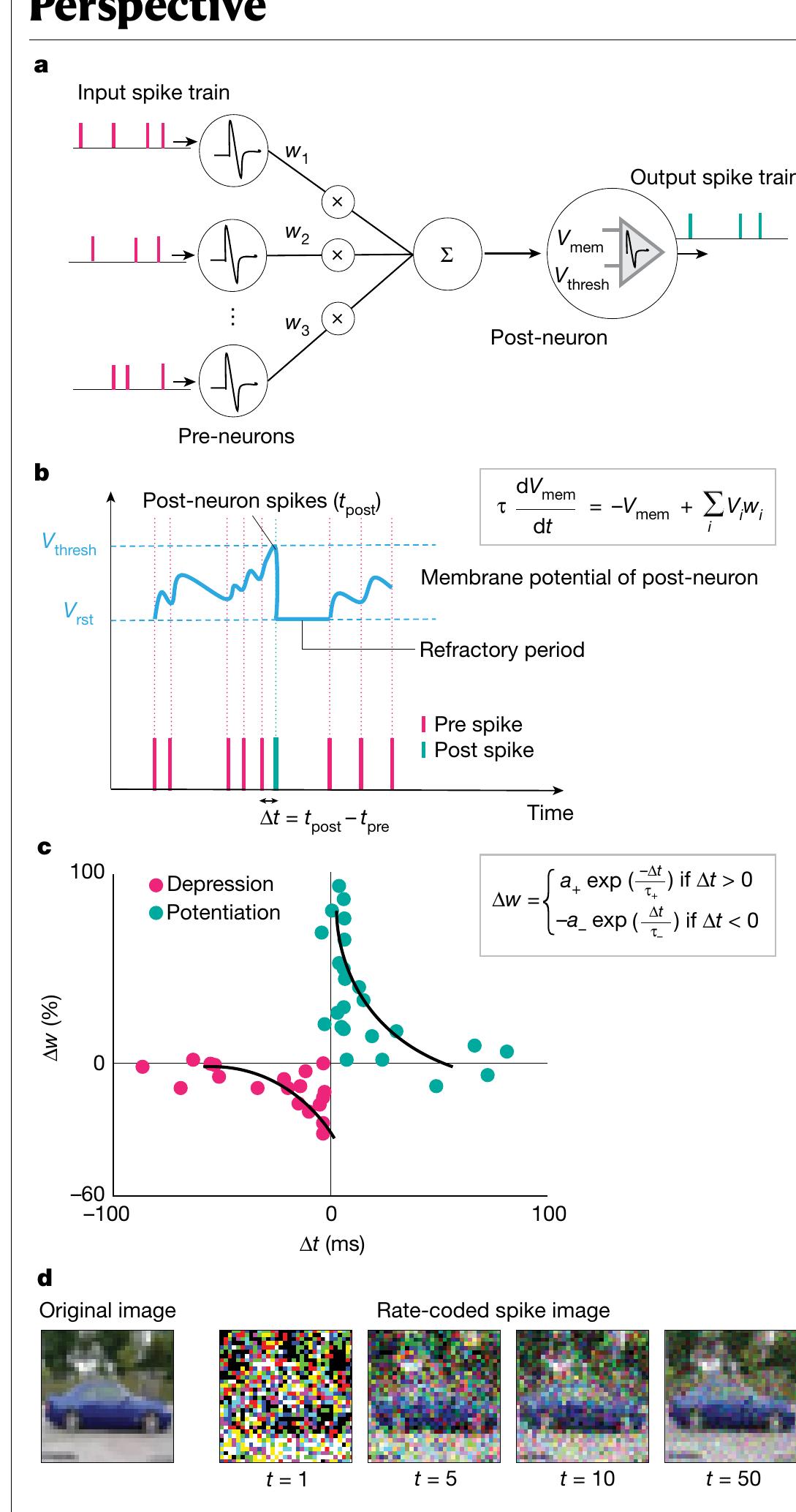 (PDF) Towards spike-based machine intelligence with neuromorphic computing