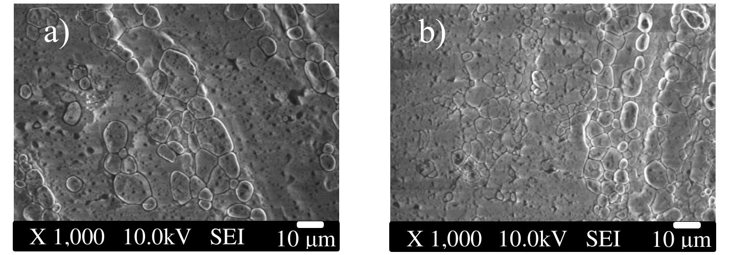 | shows typical fe-sem images of the csi:t] crystals grown