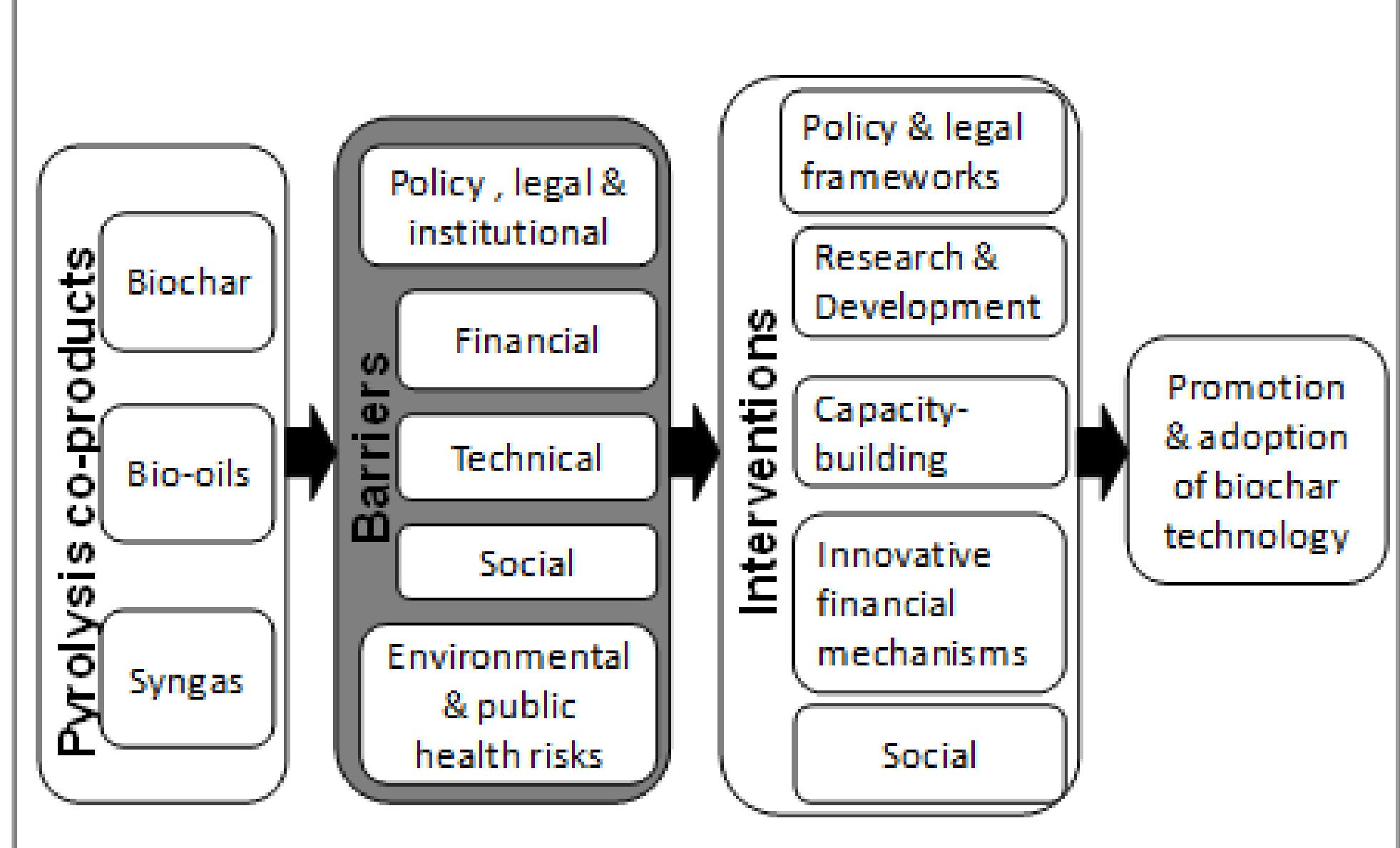 Figure 2 - Biochar production and applications in