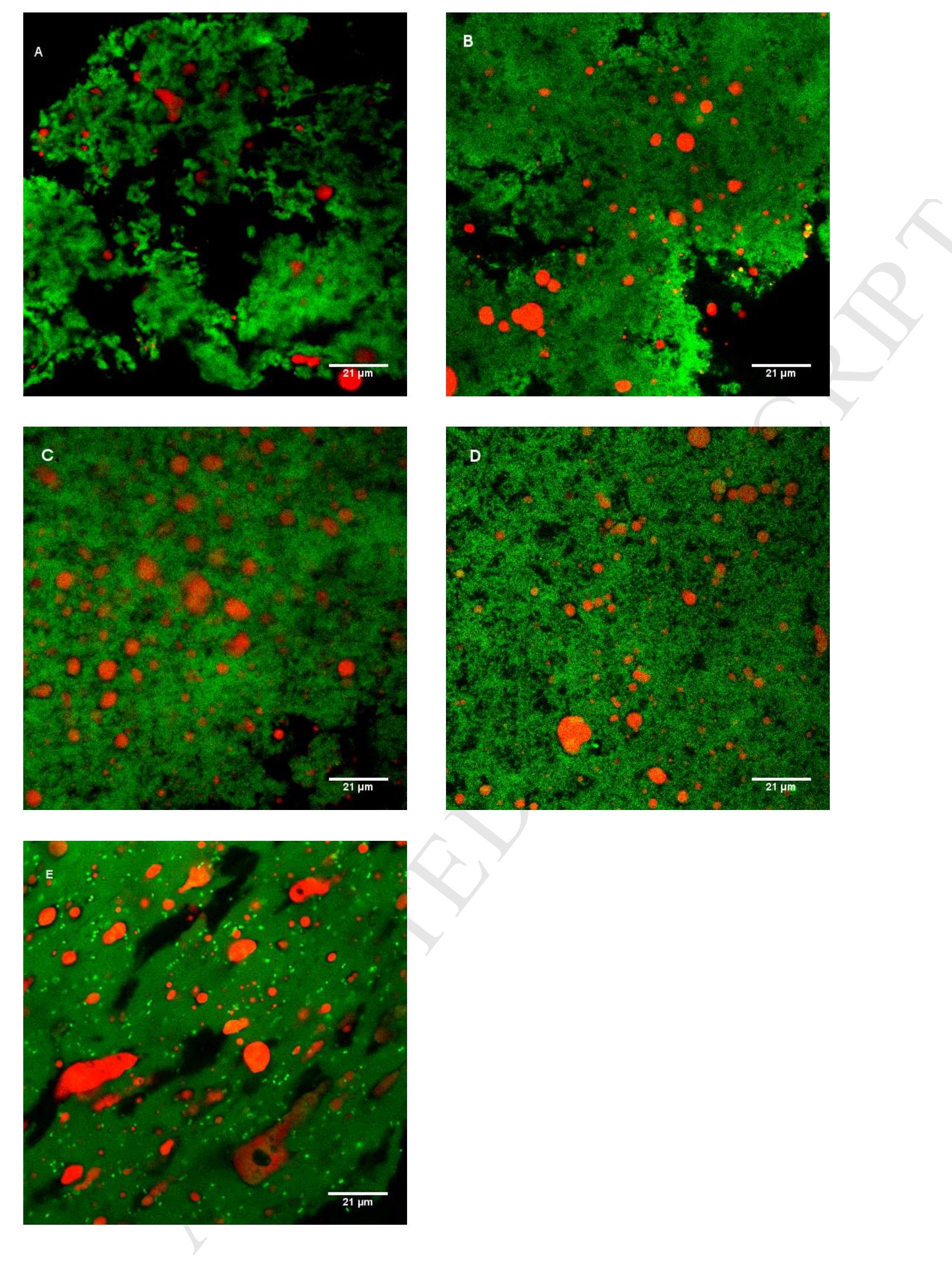 (PDF) Composition, microstructure and chemical interactions during the ...