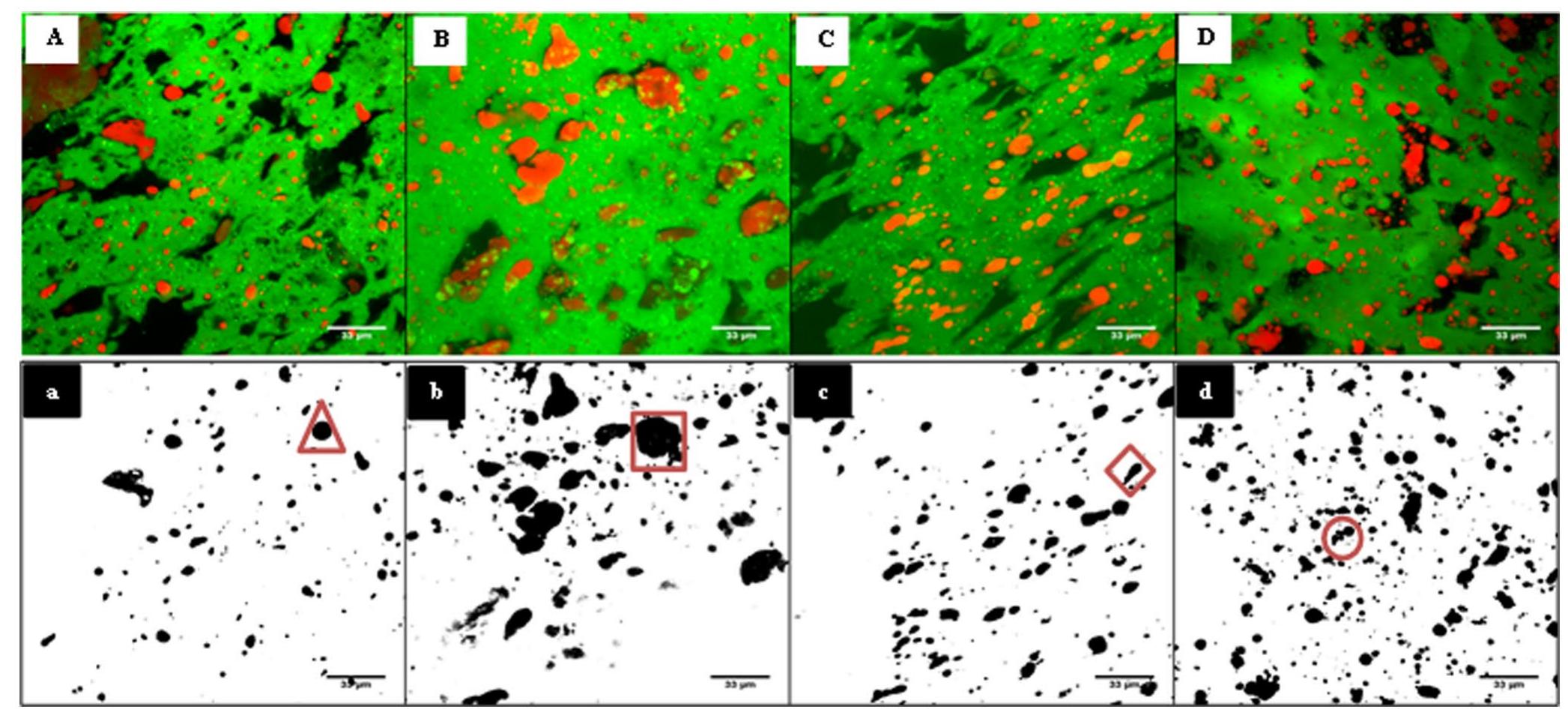 (PDF) Effect of the stretching temperature on the texture and ...