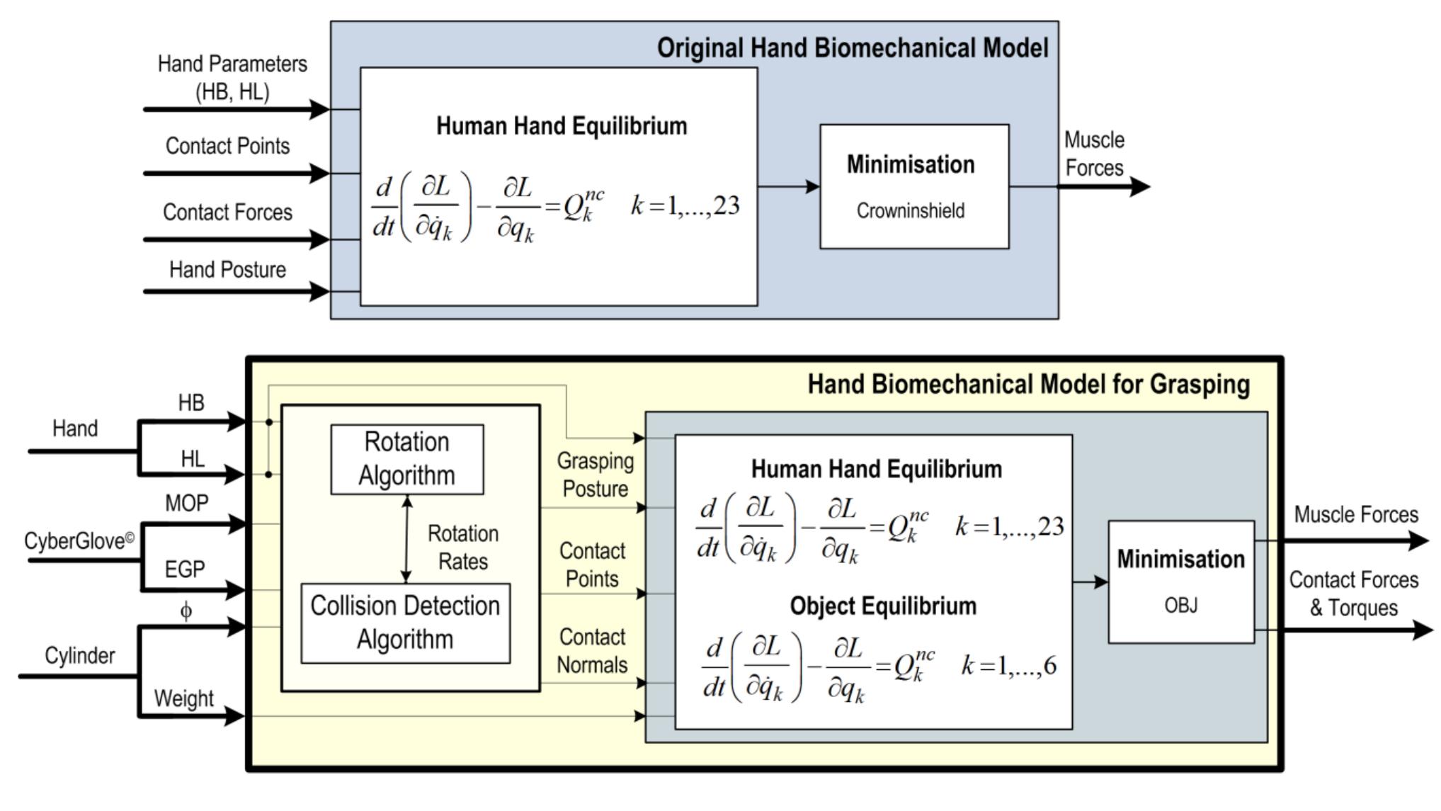 (PDF) Grasp modelling with a biomechanical model of the hand