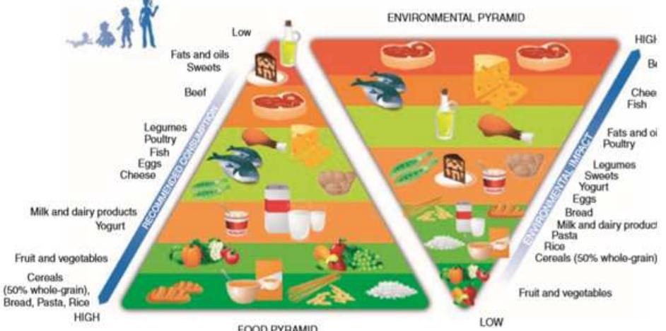 Complex Food Triangle (PDF) Food Industry: An Introduction