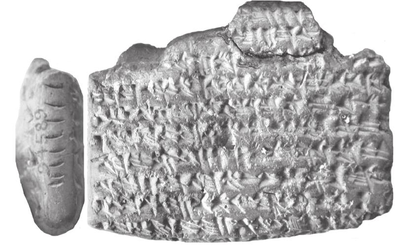 Figure 25: BM 94589 (AfO 50: 215 f. [no. 1], time of Darius). Record about the exchange of a found- ling in return for the son of a slave by the child’s biological mother. The tablet has a row of at least eight stacked nail marks on the left edge; no cap- tion. As this exchange contract is based on pari- ty, the nail mark cannot be attributed to any of the parties. 