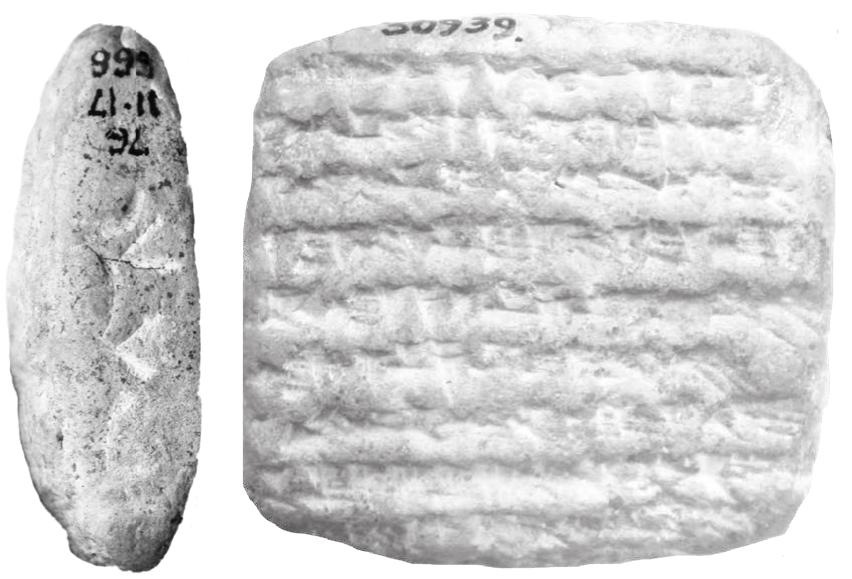 Figure 28: BM 30939 (Nbn. 157, year 4 Nbn). Ac- count settlement. On the left edge two clusters of nail marks. 