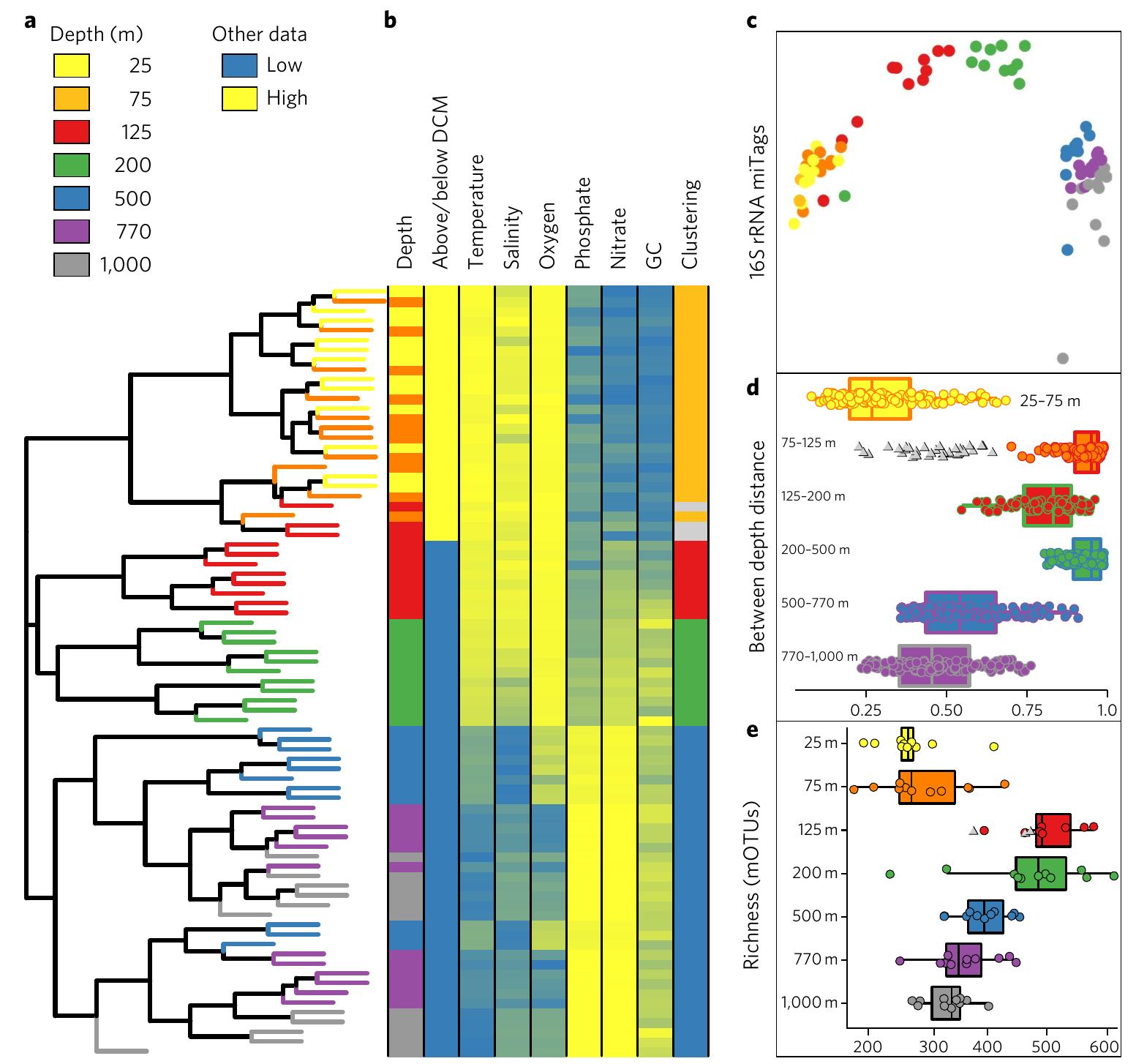 (PDF) Environmental drivers of a microbial genomic transition zone in ...