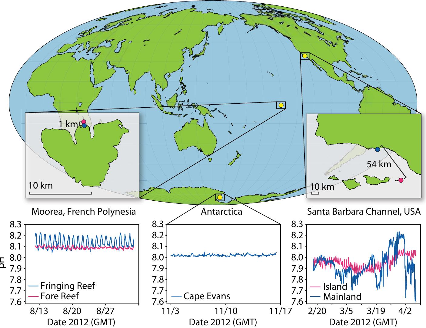 (PDF) Taking the Pulse of Marine Ecosystems: The Importance of Coupling ...