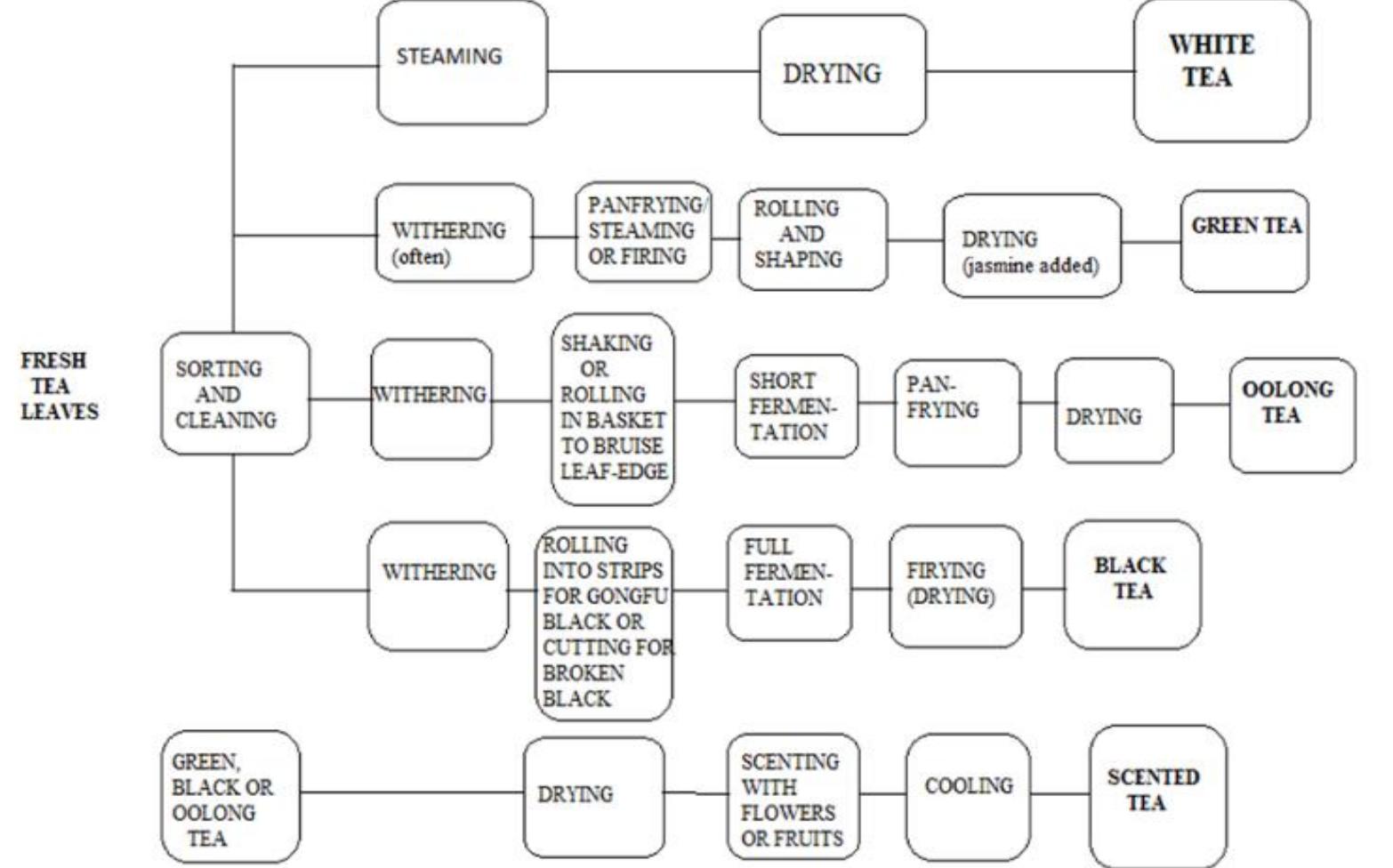 Figure 4 - from Effects of Particles Size on Tea Processing: