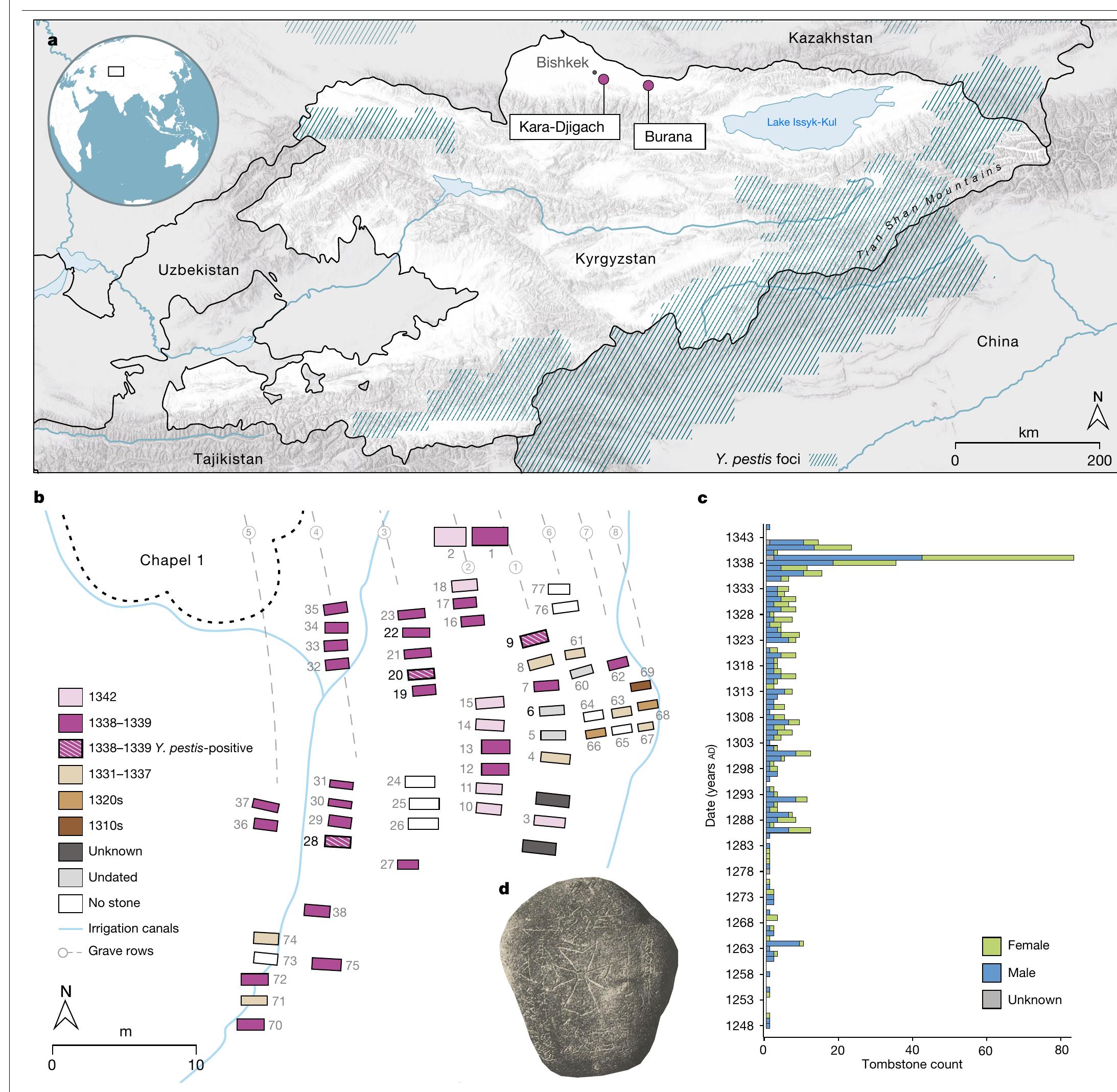 (PDF) The source of the Black Death in fourteenth-century central Eurasia