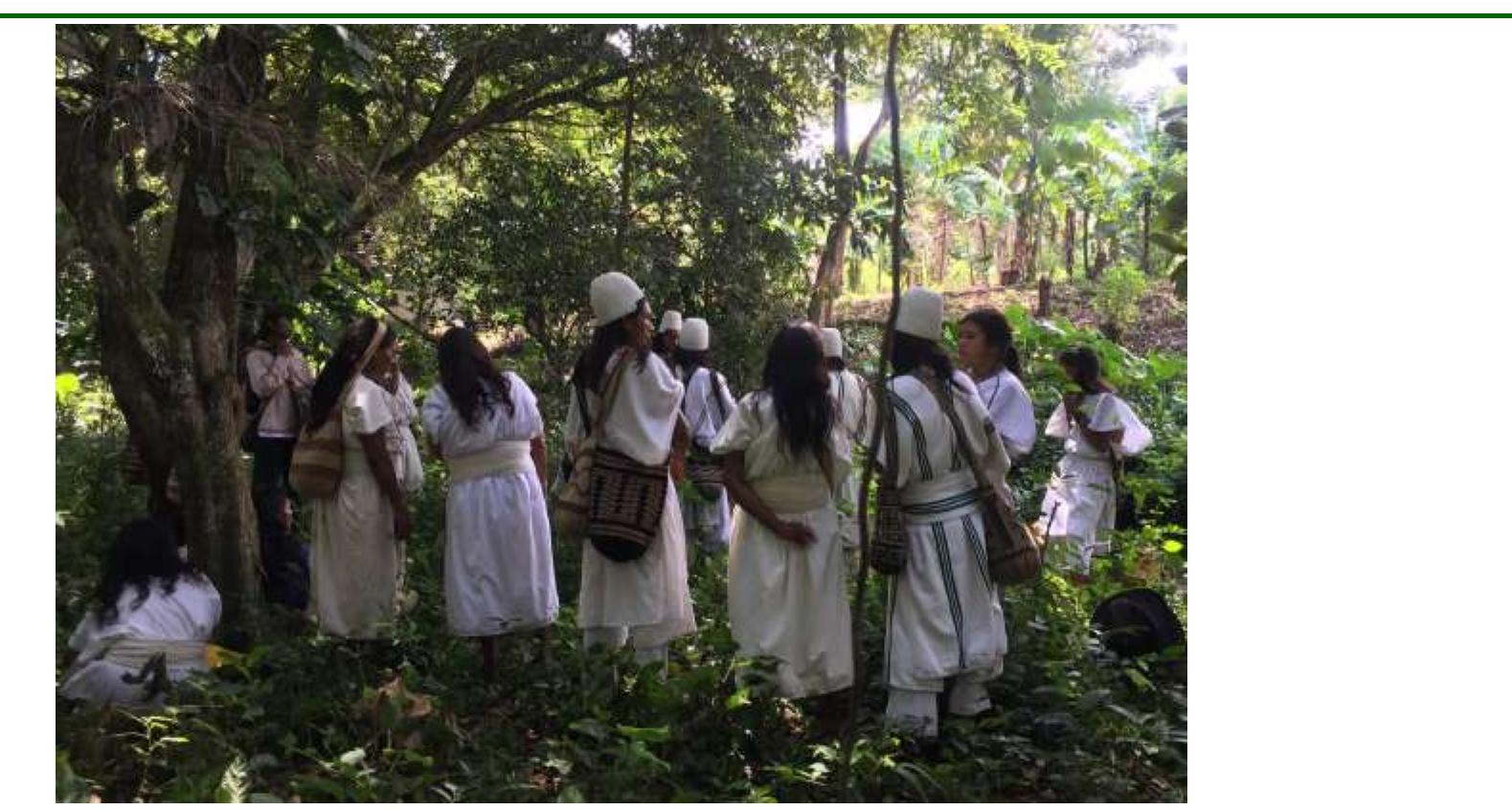 Pinto-Marroquin et al. 2022. Potential conflict as an opportunity for coexistence: cosmovision and attitudes of Arhuaco people towards jaguars  Figure 4. Ritual Payment performed as a measure to spiritually handle jaguar attacks on livestock in Jimain. 