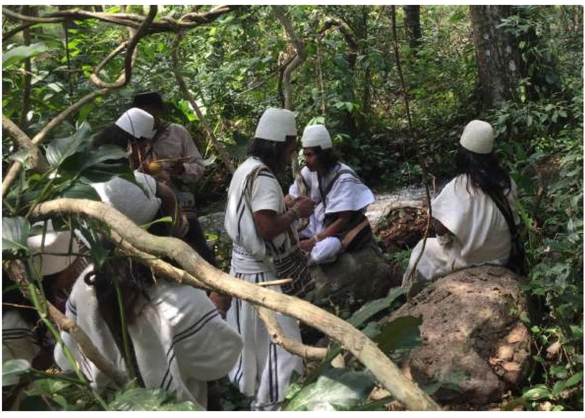 Figure 5. Mamo during the ritual Payment on a sacred stone representing the jaguar in Jimain. 