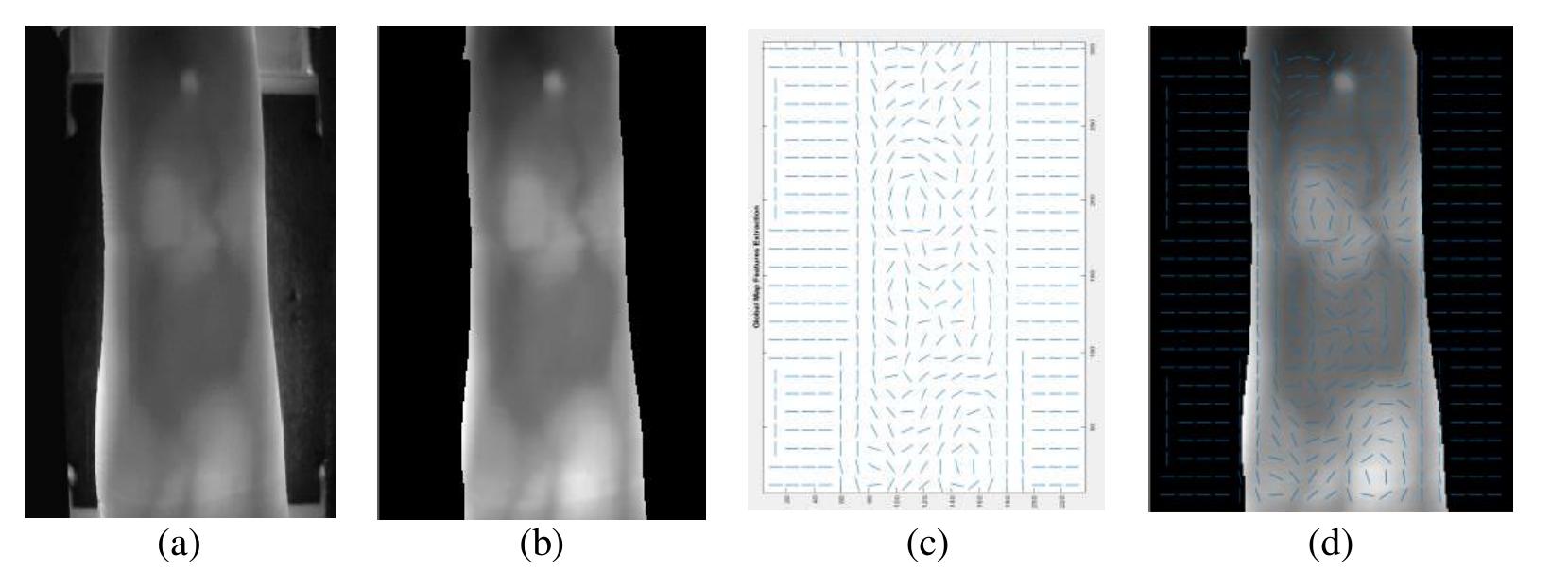 Map Indication Pattern (PDF) Double stages of feature extarction-based GFPMI for colored ...